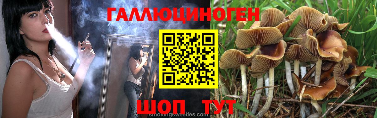 Галлюциногенные грибы Magic Shrooms  Псилоцибиновые грибы Psilocybine cubensis  Вход с VPN  Королёв 