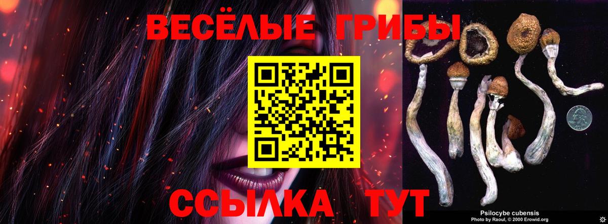 Галлюциногенные грибы Cubensis Королёв